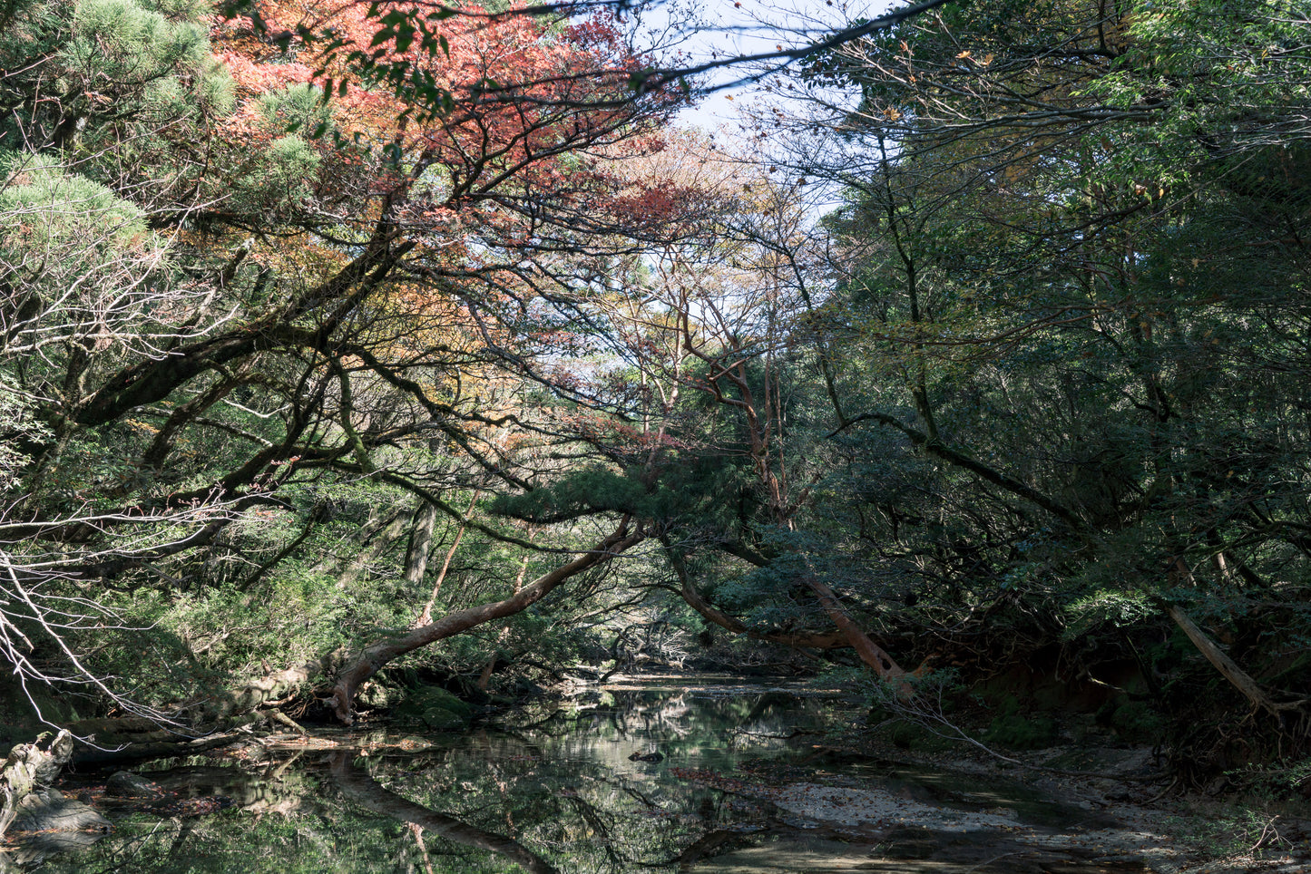 2025年10月【日本百名山】屋久島宮之浦岳登山團 ft. 李敏 Ranya Lee