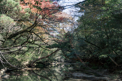 2025年10月【日本百名山】屋久島宮之浦岳登山團 ft. 李敏 Ranya Lee