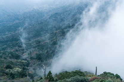 2025年10月【日本百名山】屋久島宮之浦岳登山團 ft. 李敏 Ranya Lee