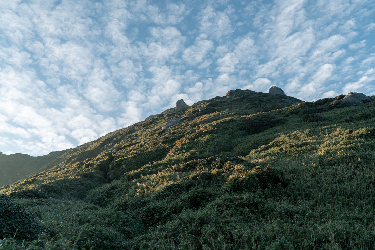 2025年10月【日本百名山】屋久島宮之浦岳登山團 ft. 李敏 Ranya Lee
