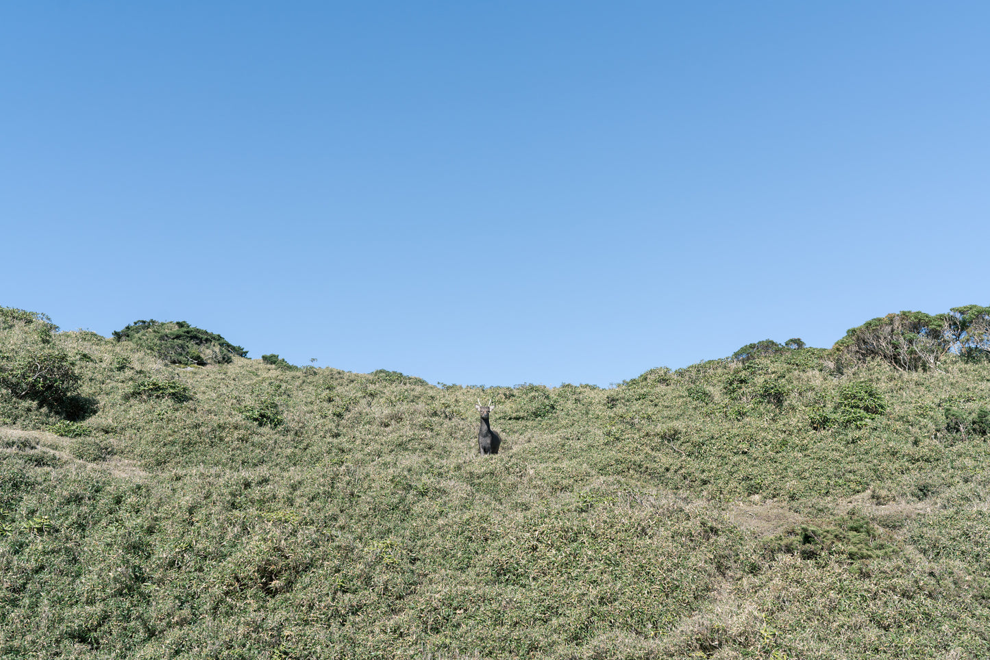 2025年10月【日本百名山】屋久島宮之浦岳登山團 ft. 李敏 Ranya Lee