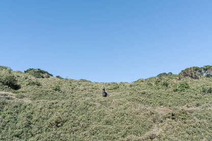 2025年10月【日本百名山】屋久島宮之浦岳登山團 ft. 李敏 Ranya Lee
