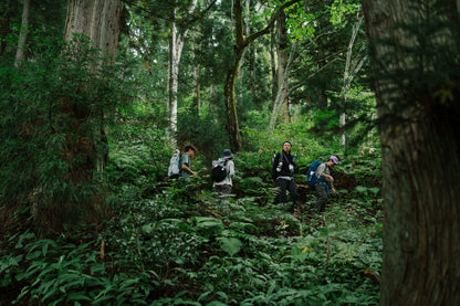2026年9月信越新道登山團