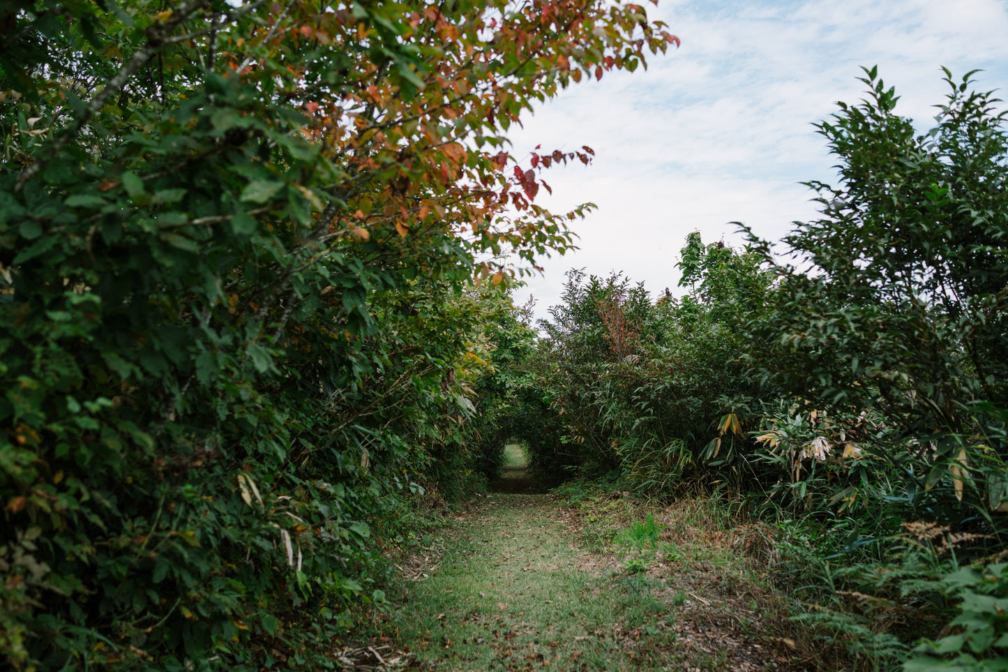 2026年9月信越新道登山團