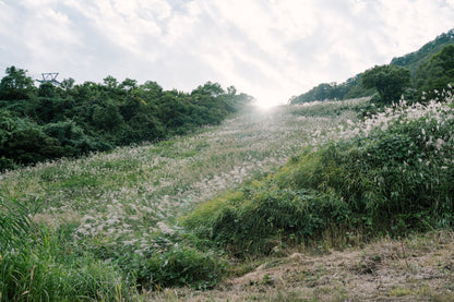 2026年9月信越新道登山團