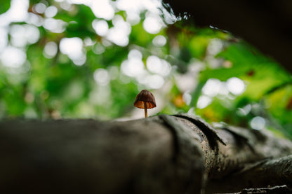 2026年9月信越新道登山團