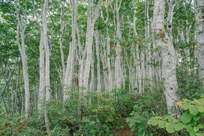 2026年9月信越新道登山團