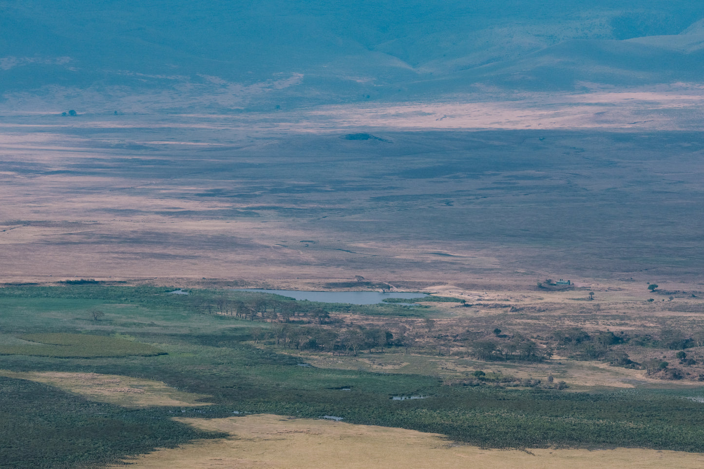 2026年十月團坦桑尼亞 Safari團