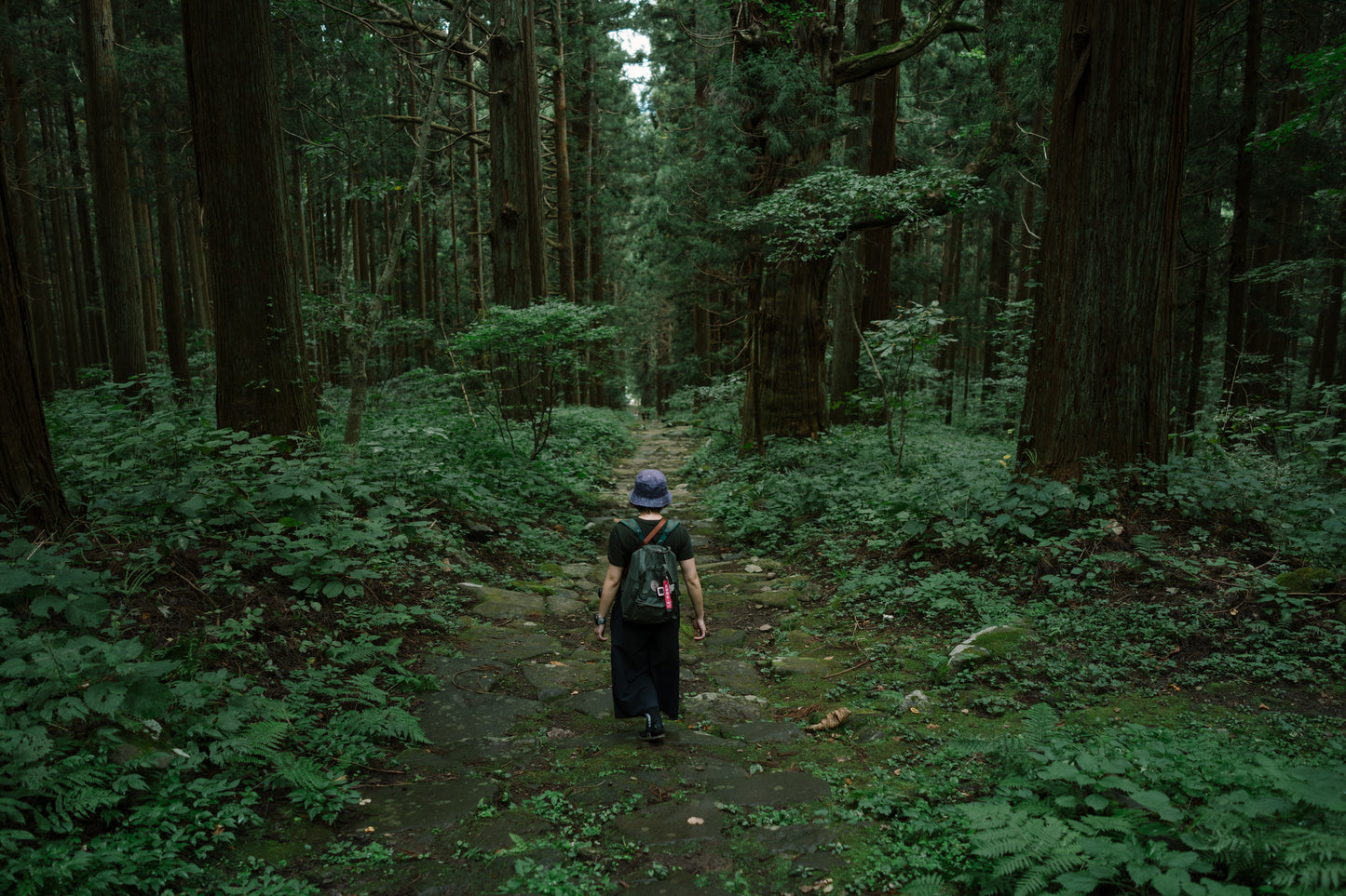 2026年9月信越新道登山團
