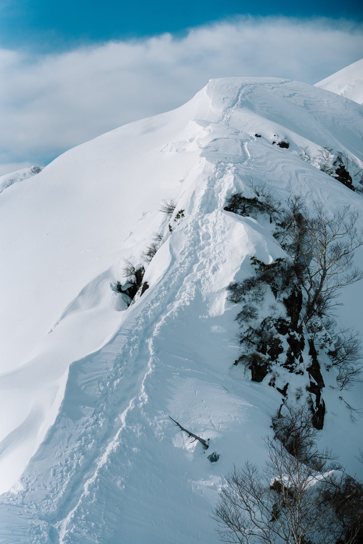 2027年2月【日本百名山】谷川岳(西黑尾根)＋白根山登山團