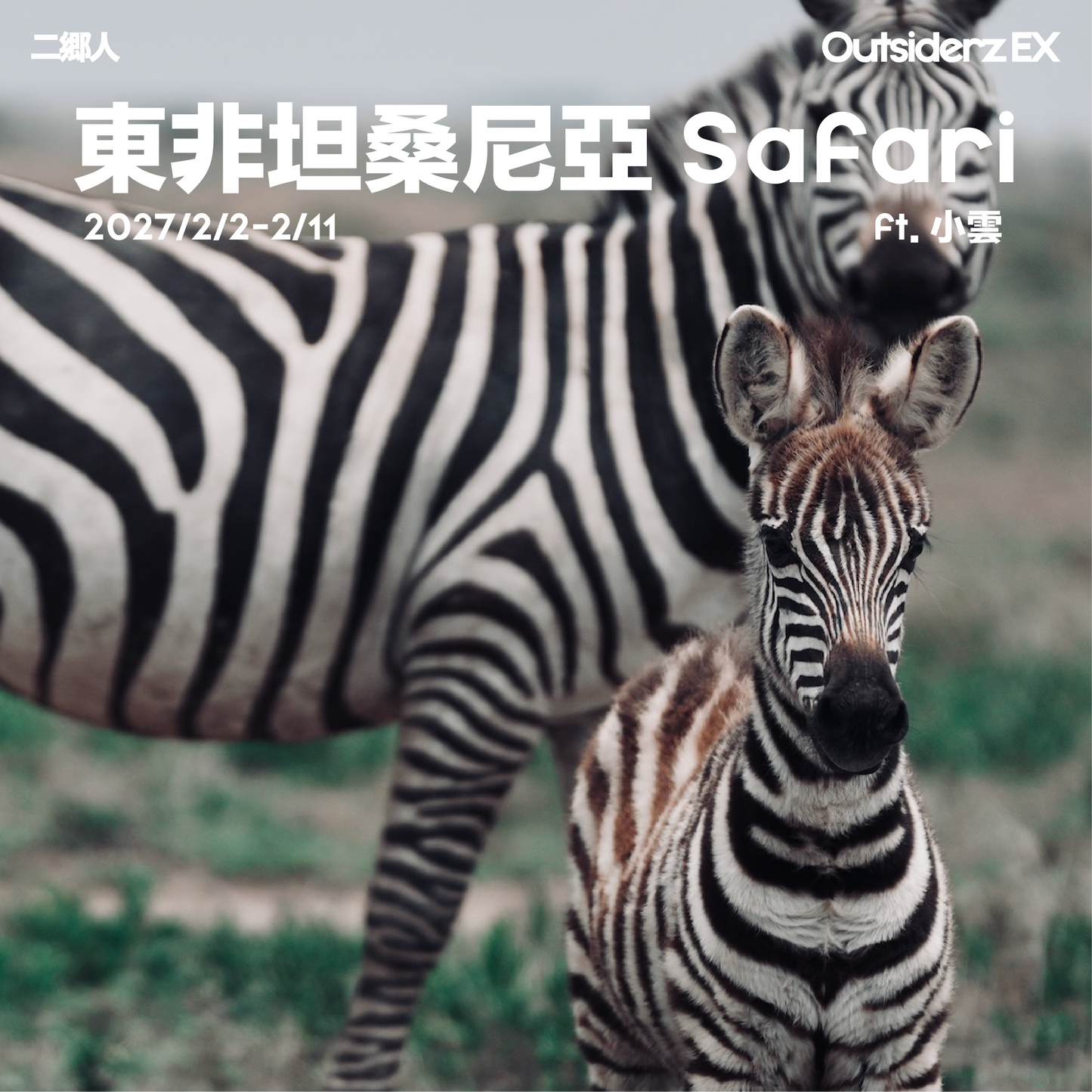 2027年2月坦桑尼亞 Safari團 ft. 小雲 Karen Tang