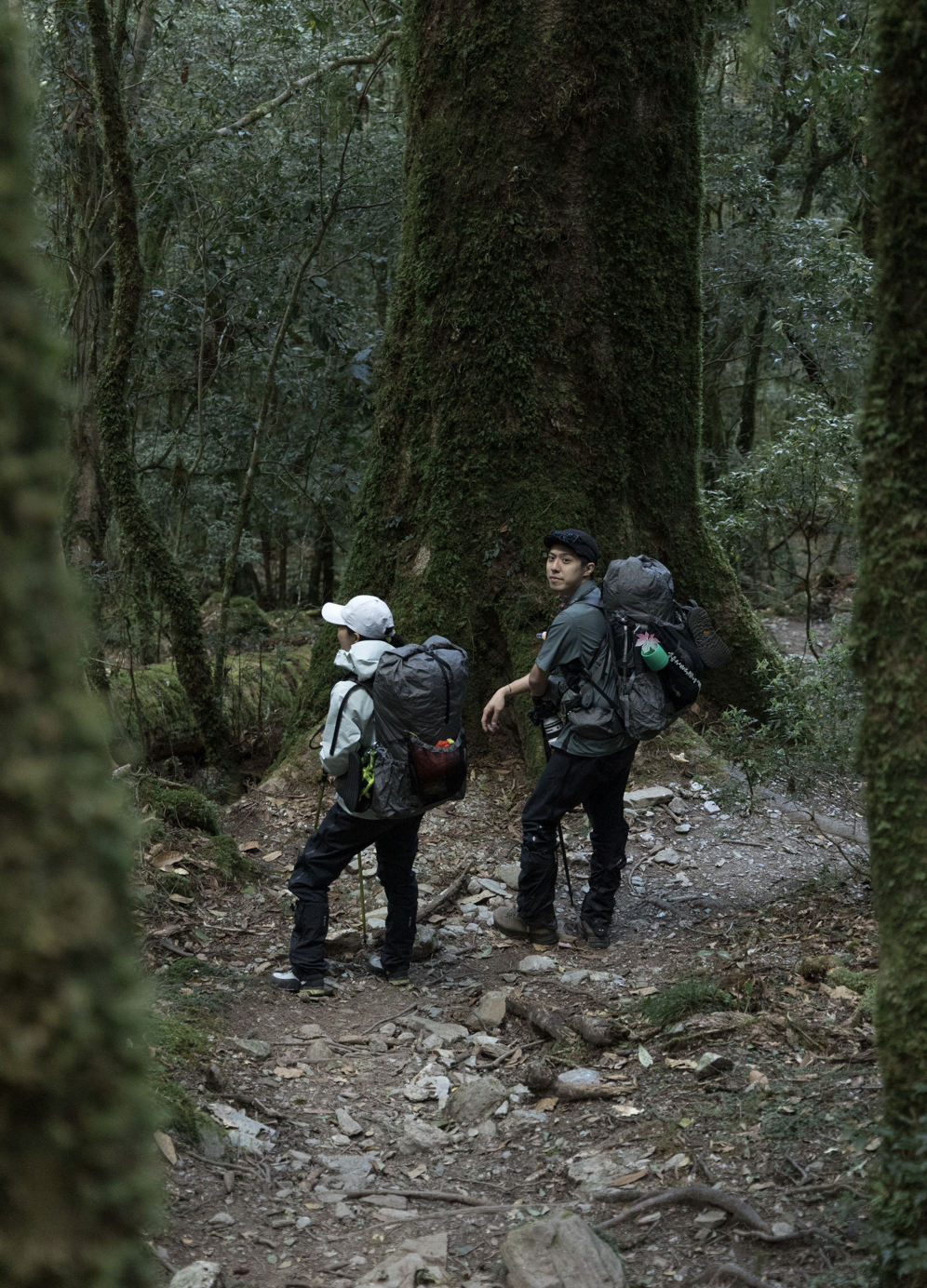 2026年1月2月3月4月【台灣百岳】嘉明湖+向陽山+三叉山登山團