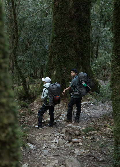 2026年1月2月3月4月【台灣百岳】嘉明湖+向陽山+三叉山登山團